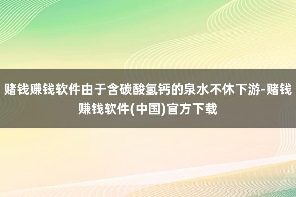 赌钱赚钱软件由于含碳酸氢钙的泉水不休下游-赌钱赚钱软件(中国)官方下载